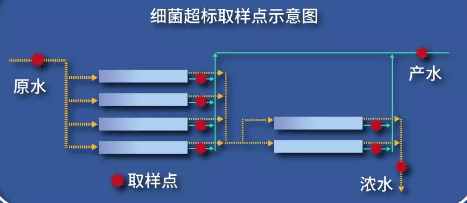 取樣實(shí)測(cè)分布圖